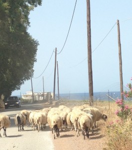 Beach-bound traffic jam