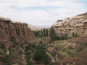 View of Pigeon Valley