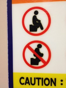 Ever-present prohibitions against crouching on the toilet bowl