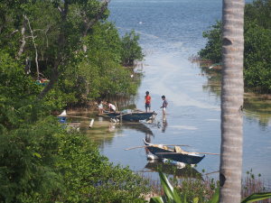 The view from our guesthouse on Panglao